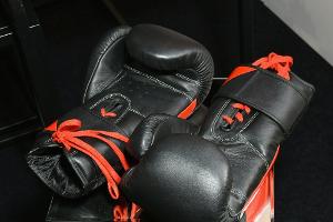 Deutsche Sporthilfe wird Partner von Fansea