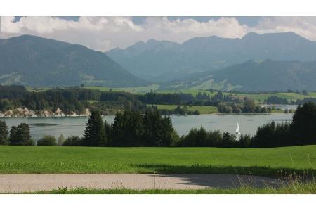 Forggensee
