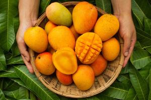 Tag der Mango: Sieben kuriose Fakten über die exotische Frucht