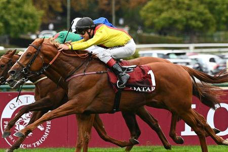 Galopp: Torquator Tasso starker Zweiter in Ascot