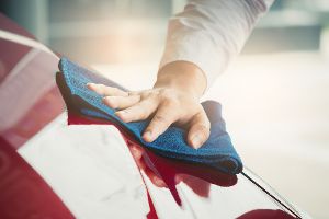 Wie sinnvoll sind Haushaltsmittel bei Autokratzern?