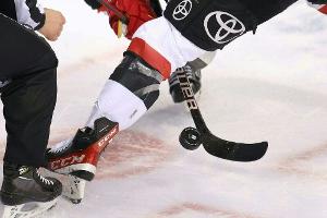 Eishockey: Augsburg holt AHL-Stürmer Morand