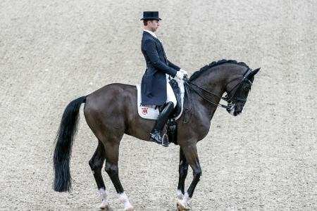 Dressur-WM: Werndl für die Kür qualifiziert
