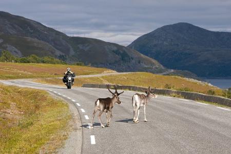 Freiheit auf zwei Rädern: Die schönsten Bikertouren der Welt