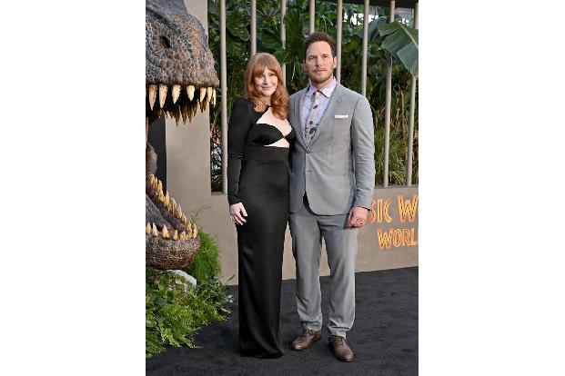 Bryce Dallas Howard sprach kürzlich in einem Interview über den riesigen Unterschied zwischen die Gagen, die sie und ihr Kollege Chris Pratt für das 'Jurassic World'—Franchise erhielten. 