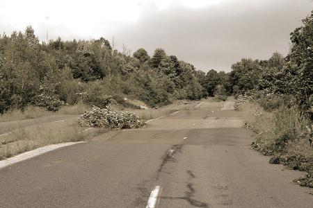 Total wellige Straße, auf der ausgerissene Bäume liegen