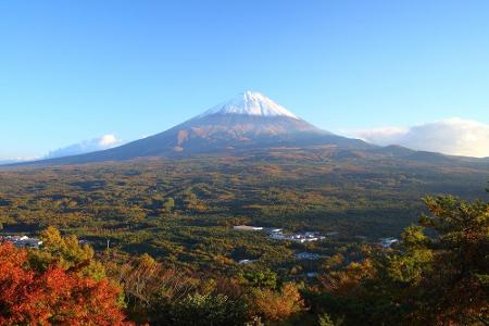 Ruhe und Frieden? Weit gefehlt! Im Aokigahara, dem See der Bäume in Japan verschwinden jedes Jahr aufs Neue Menschen. Die ja...