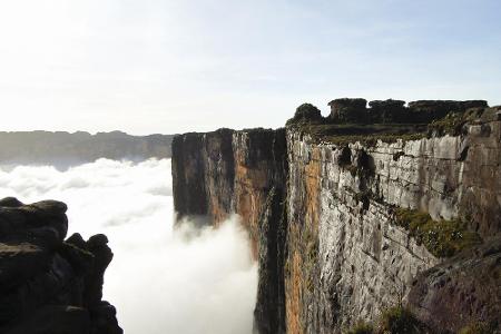 Auf dem stets von Nebel umwaberten Mount Roraima im Dreiländereck von Venezuela, Guyana und Brasilien könnten auch Flugsauri...