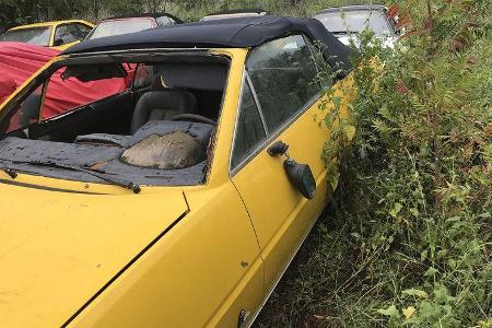 05/2019, Verlassene Ferraris in Houston