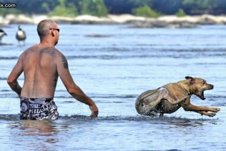 Die 40 lustigsten Fun-Bilder im Internet