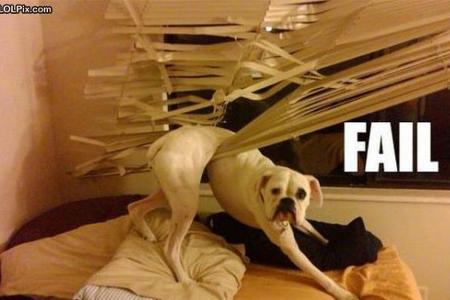 Die 40 lustigsten Fun-Bilder im Internet