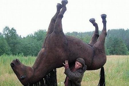 Die 40 lustigsten Fun-Bilder im Internet
