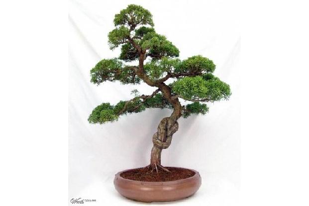 Über 70 unglaubliche Photoshop-Werke