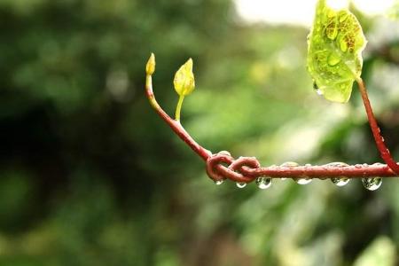 Über 70 unglaubliche Photoshop-Werke