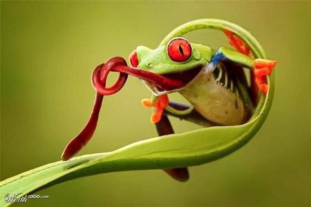 Über 70 unglaubliche Photoshop-Werke