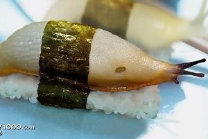 Über 70 unglaubliche Photoshop-Werke (c) worth1000.com