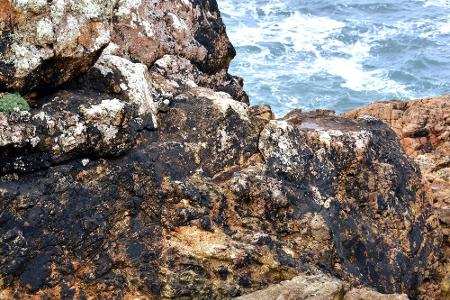 Fischsterben in der Oder und mehr: Die größten Umweltkatastrophen