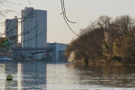 Fischsterben in der Oder und mehr: Die größten Umweltkatastrophen