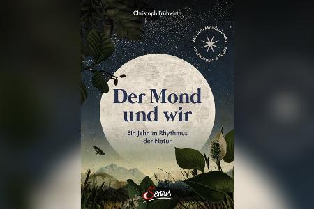 Der Einfluss des Mondes: Die sieben Mondphasen und ihre Wirkung