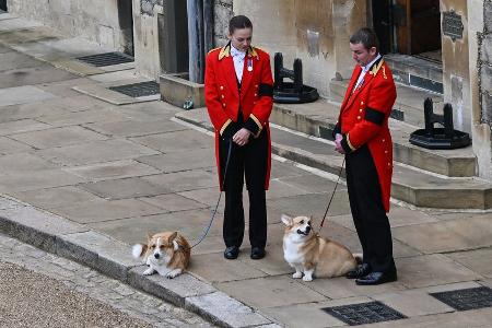Abschied von ihrer Herrin: Corgis erwarteten Queen in Windsor
