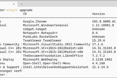 Über Winget lassen sich zahlreiche Anwendungen und Tools automatisch installieren. Aktualisierungen kann das Tool ebenfalls durchführen.