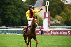 Torquator Tasso gewinnreichster deutscher Galopper