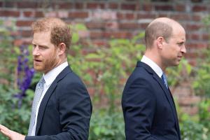 Prinz Harry soll Versöhnungsversuch von Prinz William abgelehnt haben