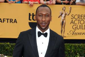 Aus Mangel an einem Regisseur: Marvels "Blade"-Film verzögert sich