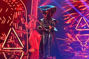 Black Mamba bei "The Masked Singer" enttarnt