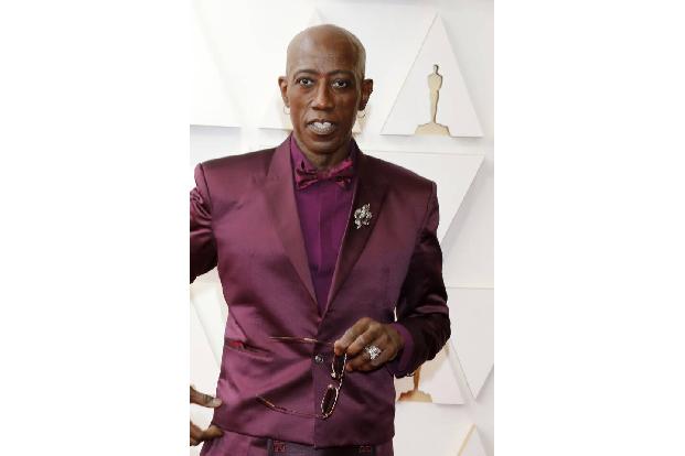 Die modernen Rebellen verweigern den Lohnsteuerjahresausgleich: Drei Jahre lang warteten die Steuerbehörden vergeblich auf eine Steuererklärung von Wesley Snipes, bevor er vor Gericht landete. Dort ha ...