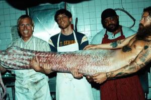 Harry Styles mit Tentakeln: So verstörend ist sein neues Musikvideo