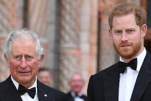König Charles III. übernimmt ehemaliges Amt von Prinz Harry