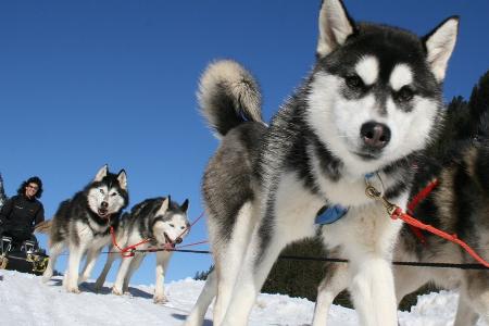 Wie Saunaboot und Fondueschlitten dem Schweizer Winter einheizen