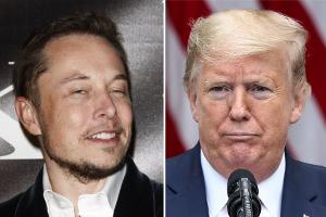 Elon Musk lässt über Twitter-Rückkehr von Donald Trump abstimmen