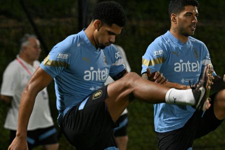 Uruguay kann bei WM auf Araujo bauen
