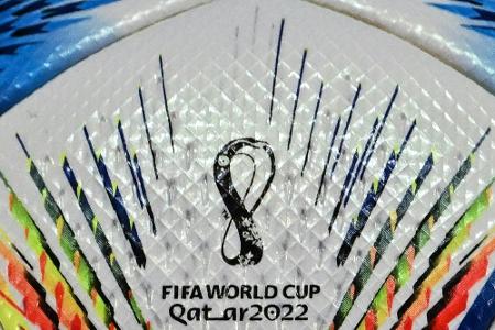 Umwelthilfe: Fußball-WM eine 