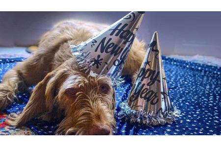 Silvester ohne Böller