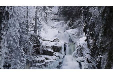 Silvester ohne Böller