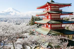Japan im Winter erleben: Zwischen Eis, Onsen, Tempeln und Schneeaffen