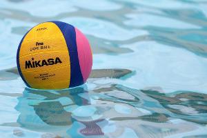Sekulic neuer Wasserball-Bundestrainer