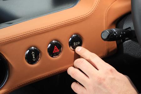 Microbus Mia, Knöpfe