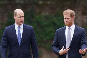 Streit wegen Meghan: William soll Harry "zu Boden geworfen haben"