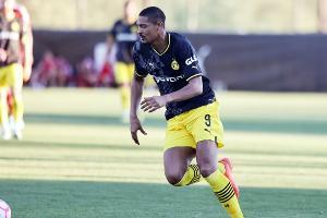 Haller: "Viel besser, als im Wald joggen zu gehen"