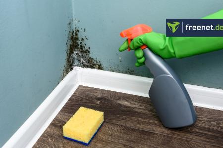 Schimmelspray Kaufberatung