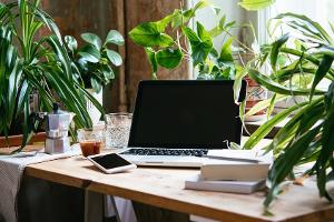 E-Mails löschen und mehr: So klappt Umweltschutz am Arbeitsplatz