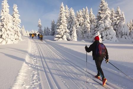 Lust auf Langlaufen? Diese Regionen ziehen Wintersportler an
