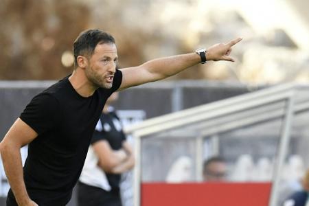 Tedesco neuer belgischer Nationaltrainer