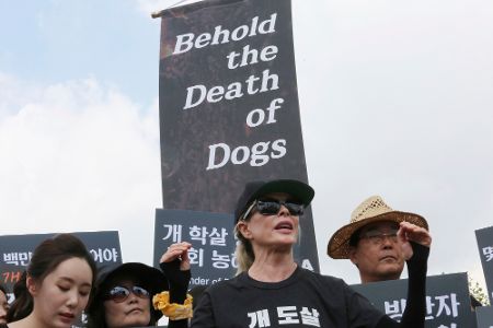 tierschutz kim basinger