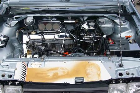 VW-GTI-Treffen, Wörthersee 2016, Fanautos