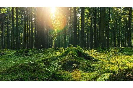 Nachhaltiges Zubehör